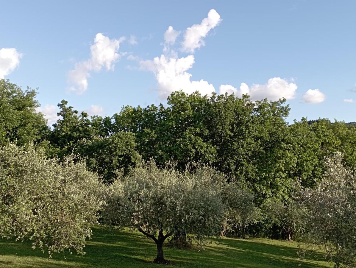 Villa Luna Comeana Eksteriør billede