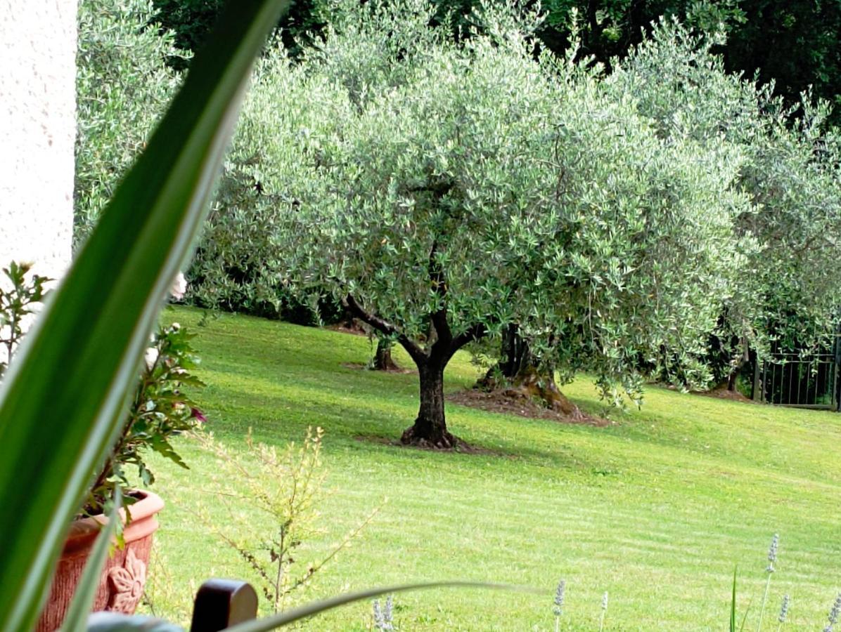 Villa Luna Comeana Eksteriør billede