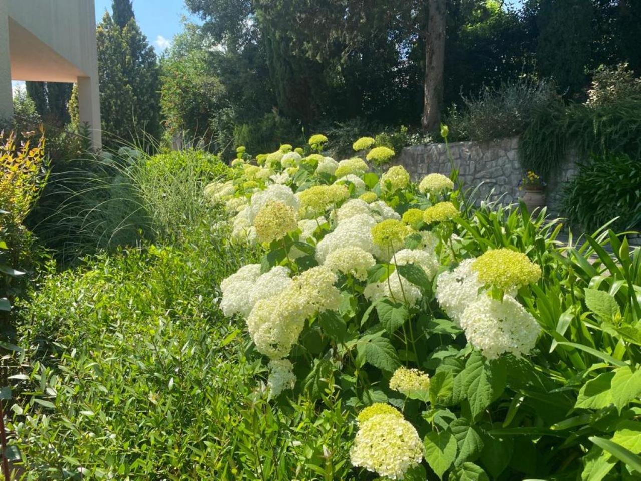 Villa Luna Comeana Eksteriør billede
