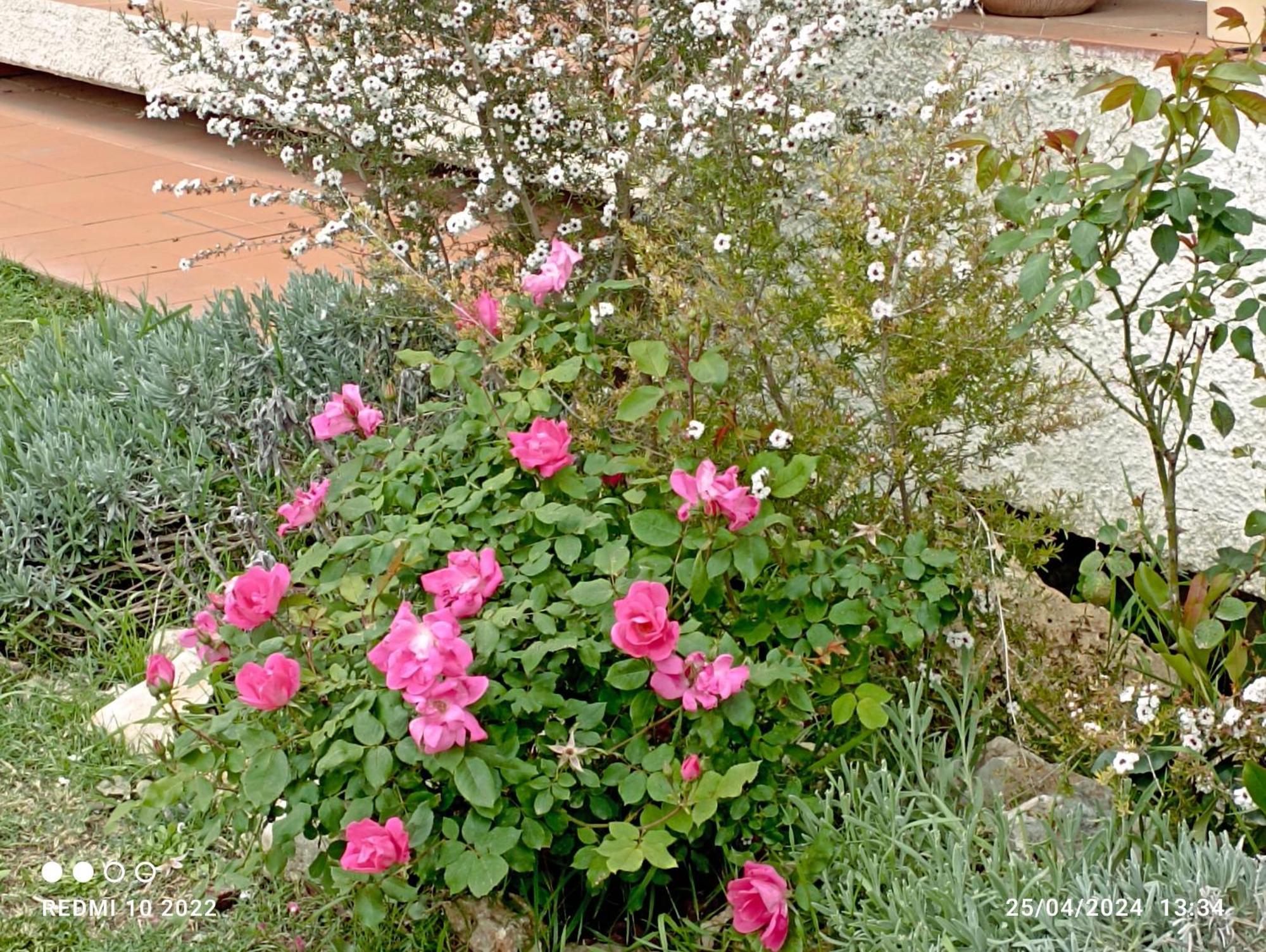 Villa Luna Comeana Eksteriør billede